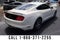 2015 Ford Mustang GT 50 Years Limited Edition