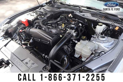 2024 Ford Mustang Premium