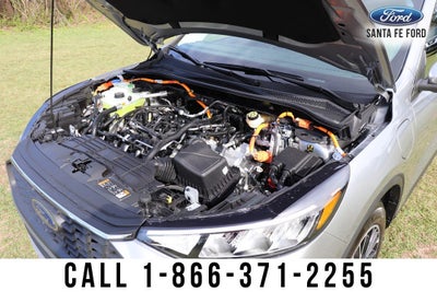 2023 Ford Escape PHEV