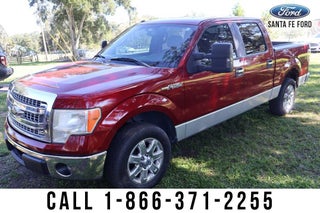 2013 Ford F-150 XLT