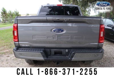 2023 Ford F-150 Base