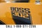 2013 Ford Mustang Boss 302